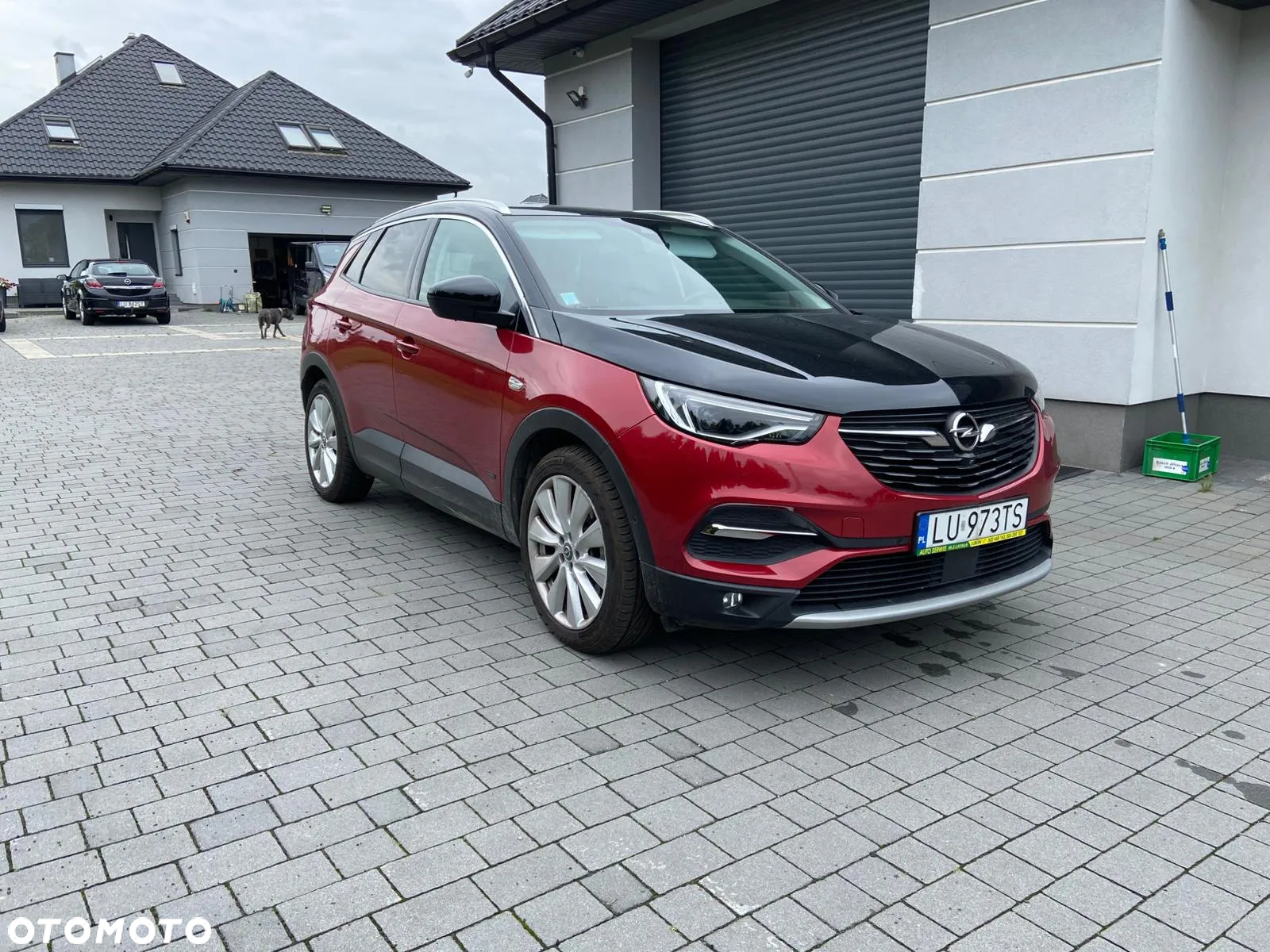 Opel Grandland X Plug-in-Hybrid4 1.6 DI Start/Stop Ultimate - 11
