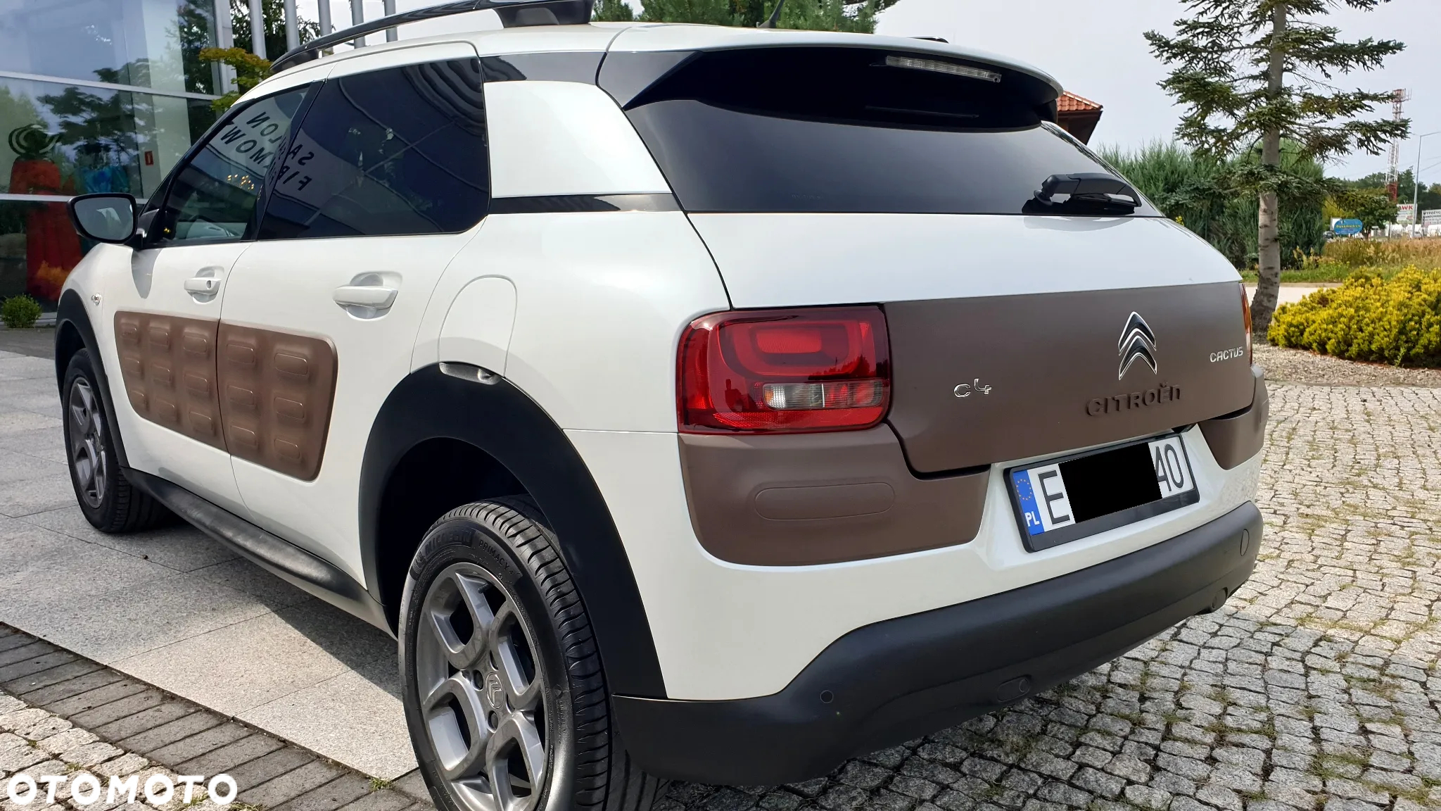 Citroën C4 Cactus - 10