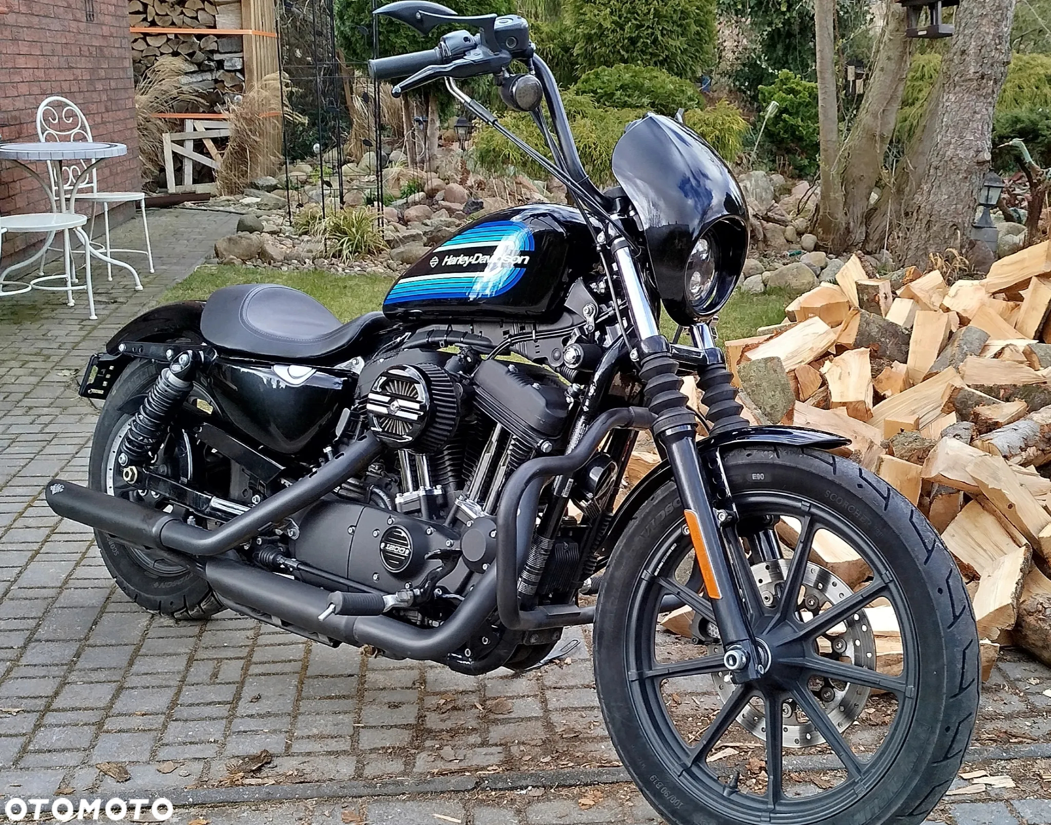 Harley-Davidson Sportster Iron 1200 - 9