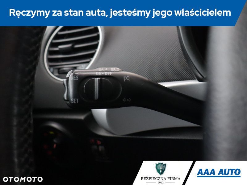 Volkswagen New Beetle - 17