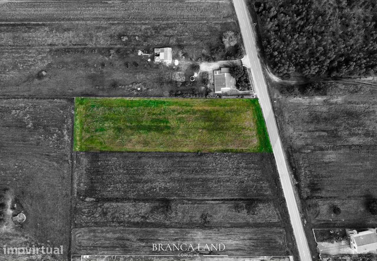 Terreno com 3.850 m2, situado na Branca, concelho de Coruche. - Grande imagem: 3/13