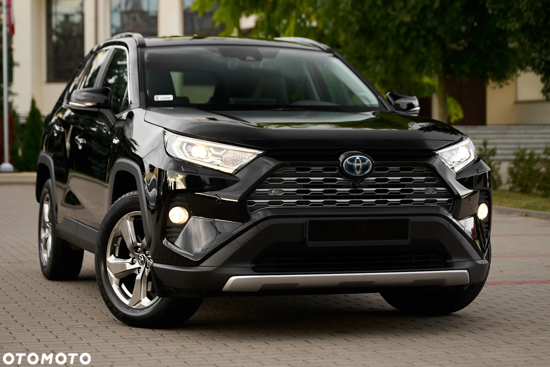 Toyota RAV4 2.5 Hybrid Executive 4x2 - 21