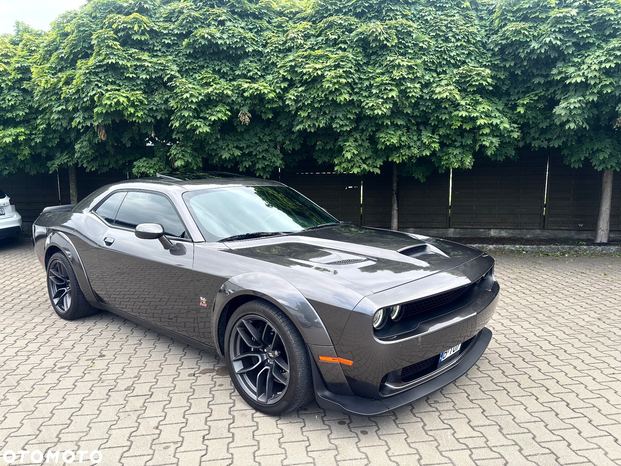 Dodge Challenger 6.4 Scat PackWidebody - 2