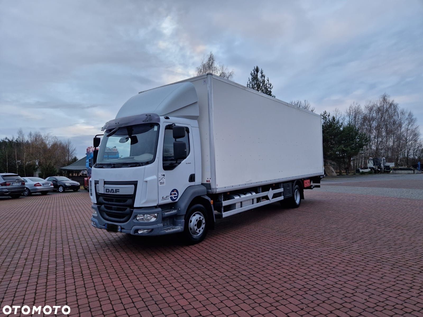 DAF LF 250 FA* EU 6* WINDA* KONTENER 23EP* Klima* z Francji - 1