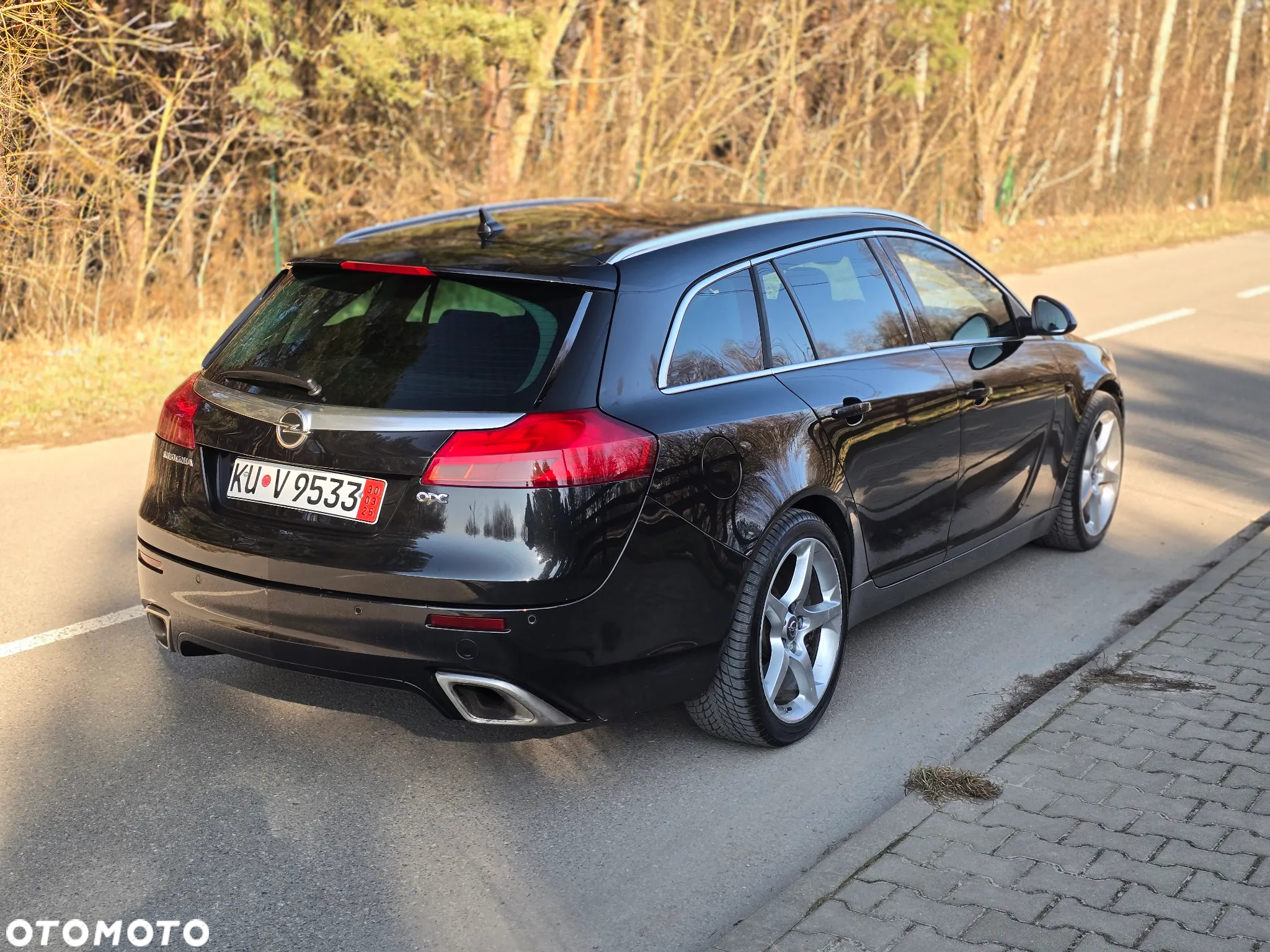 Opel Insignia 2.8 V6 Turbo Sports Tourer 4x4 Automatik OPC - 11