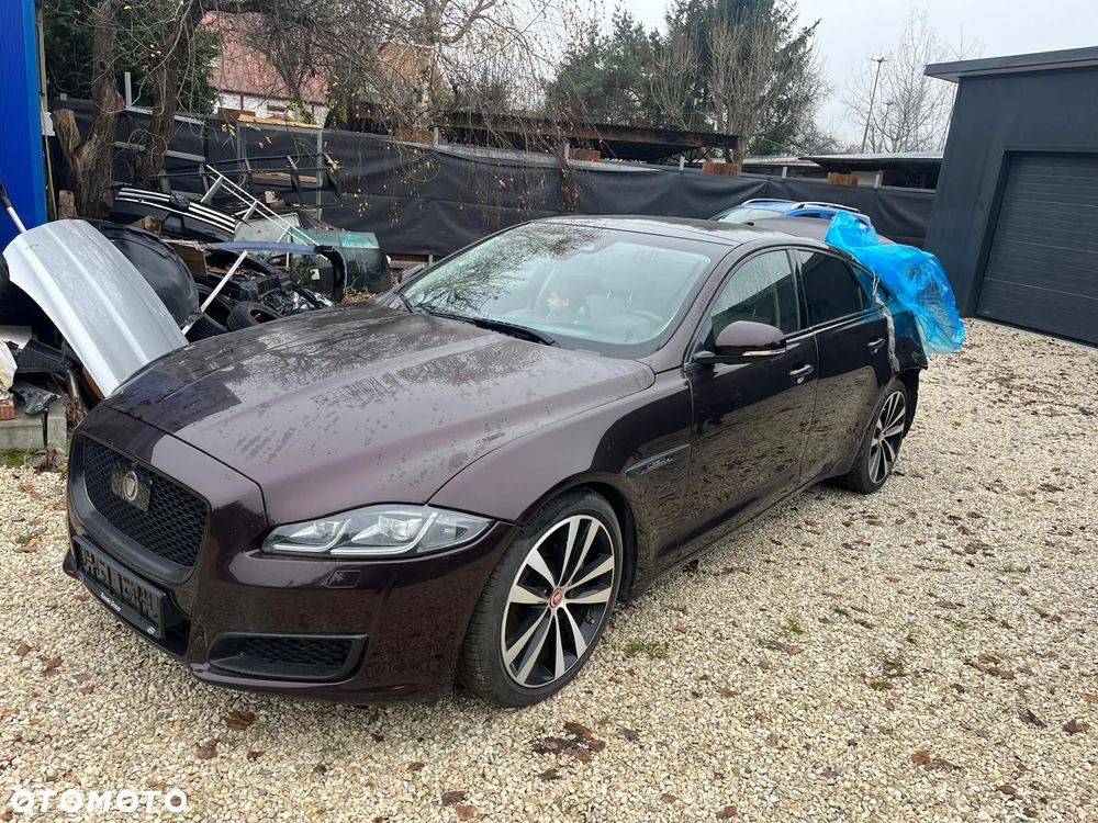 Jaguar XJ 3.0 D V6 XJ50 - 2
