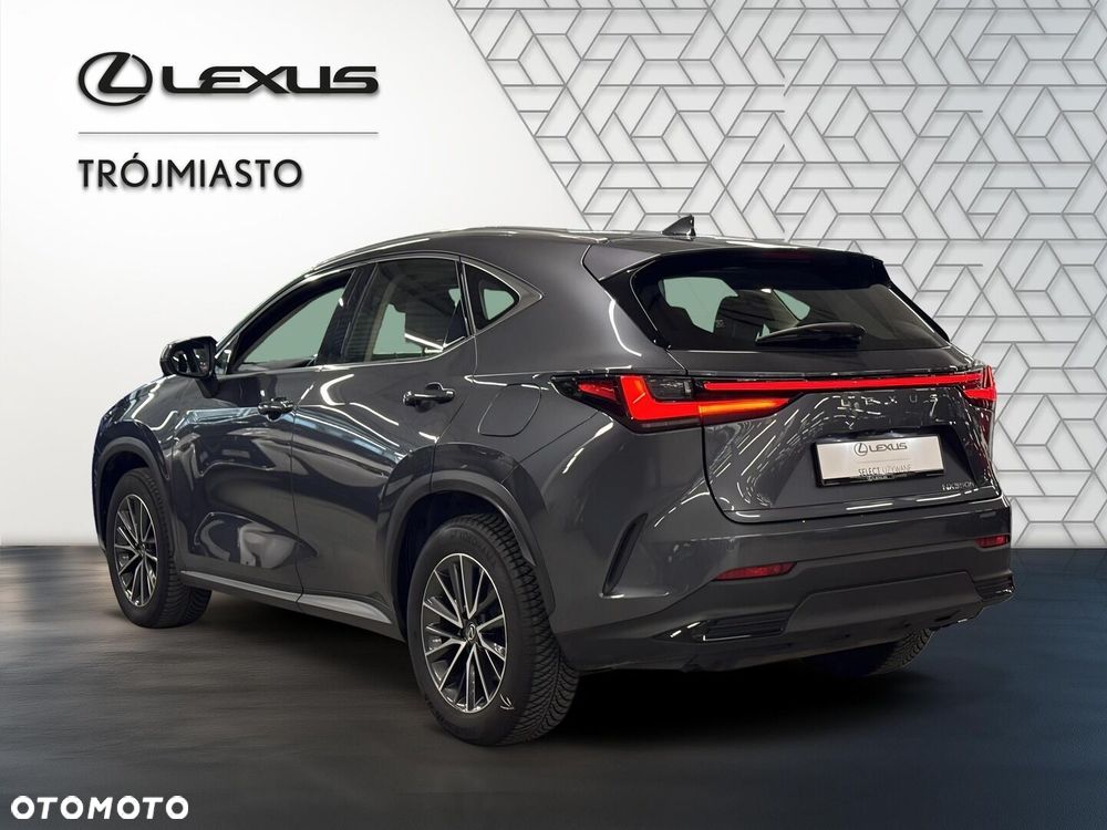 Lexus NX 350h Business AWD - 4