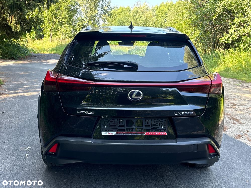 Lexus UX - 11