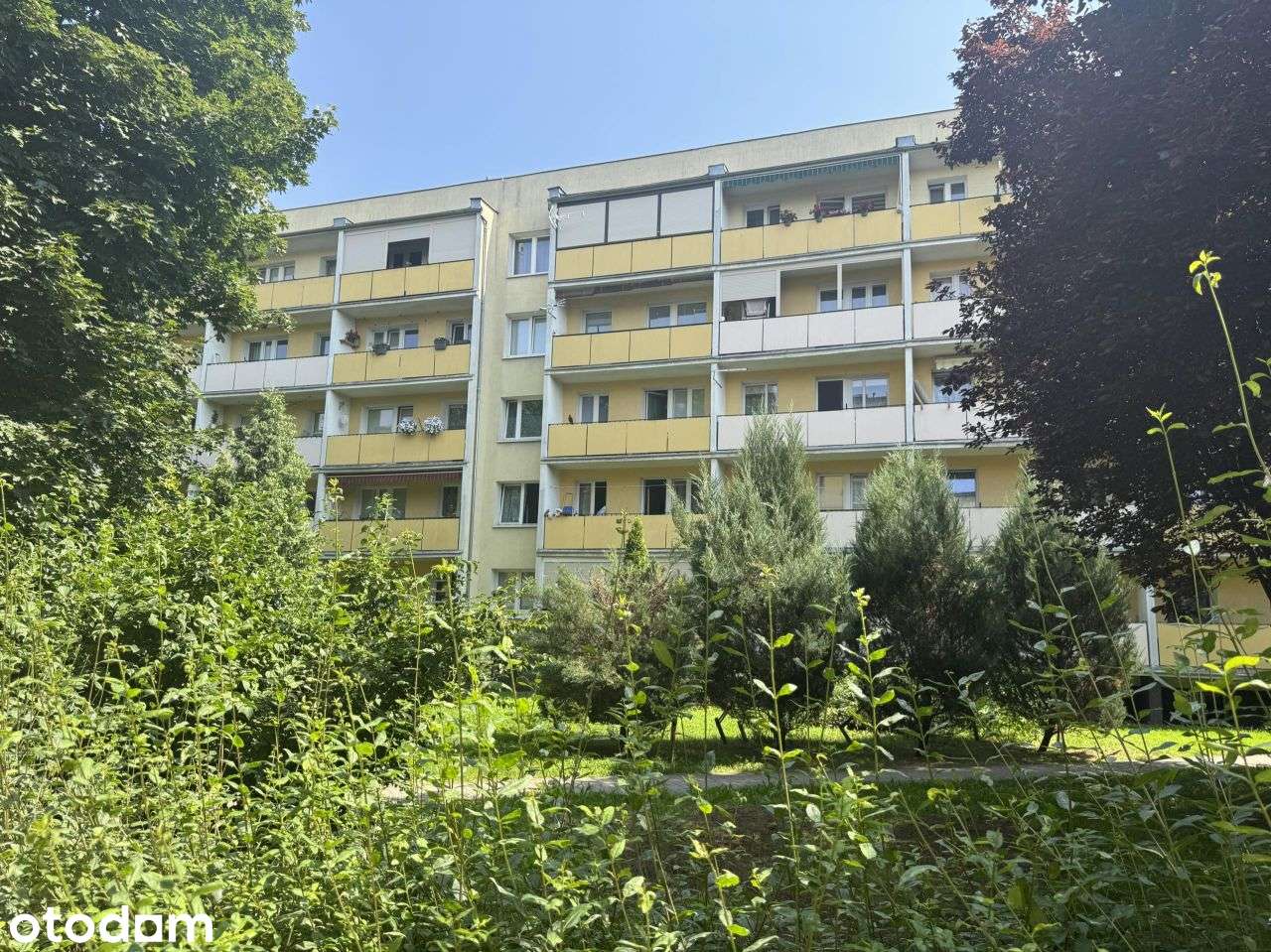 Rataje | 3 Pokoje Z Loggią Wśród Zieleni