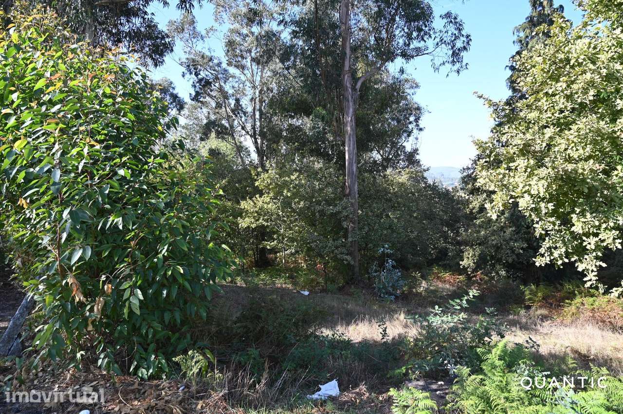 TERRENO PARA INVESTIMENTO NO CENTRO DE PAREDES — 7.800 m2 POR... - Grande imagem: 5/21