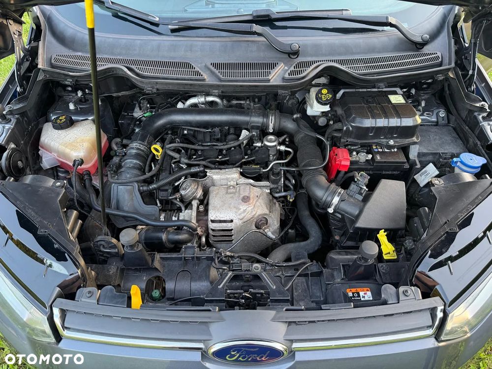 Ford EcoSport - 18
