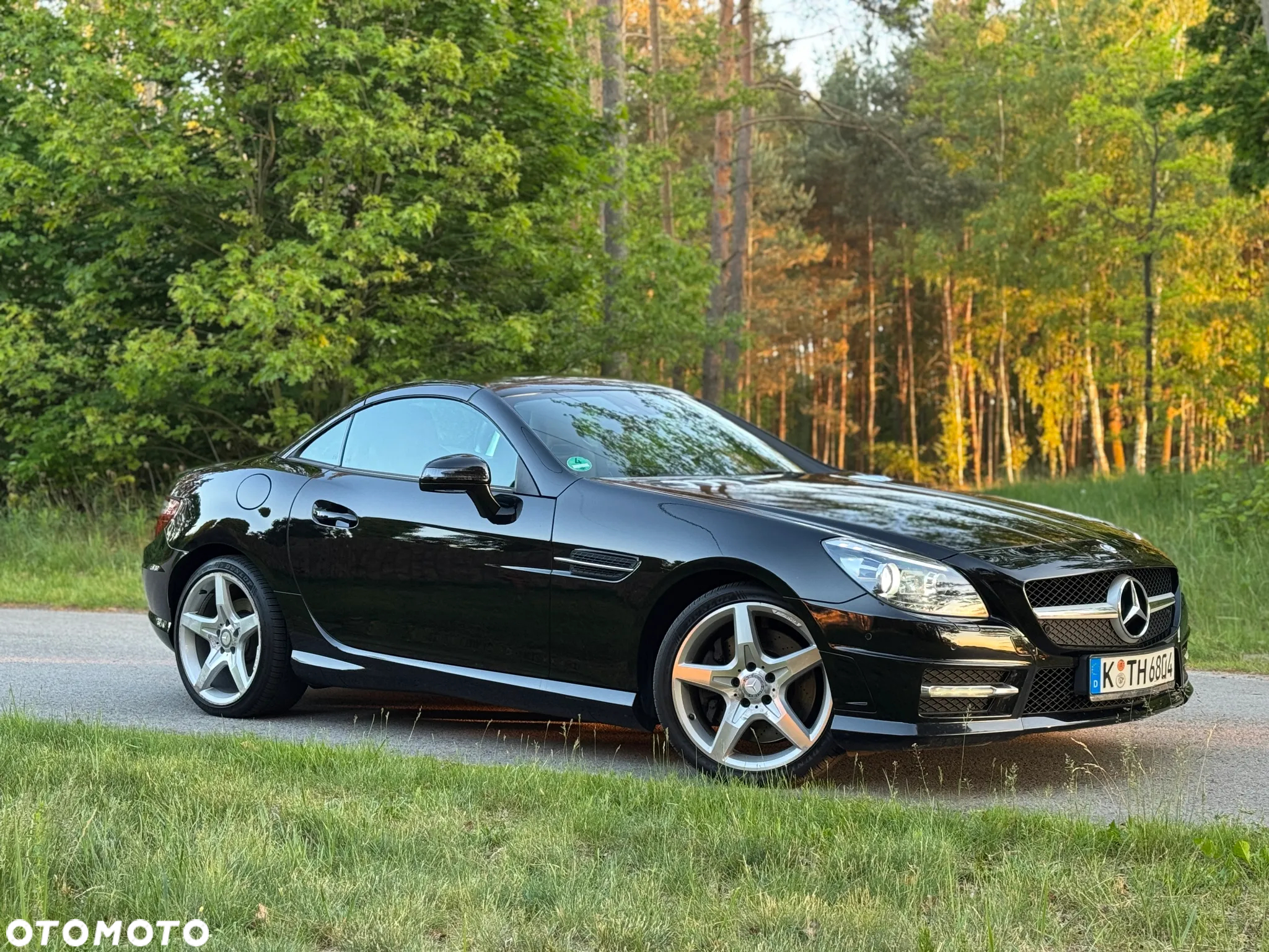 Mercedes-Benz SLK 200 BlueEFFICIENCY Edition 1 - 3