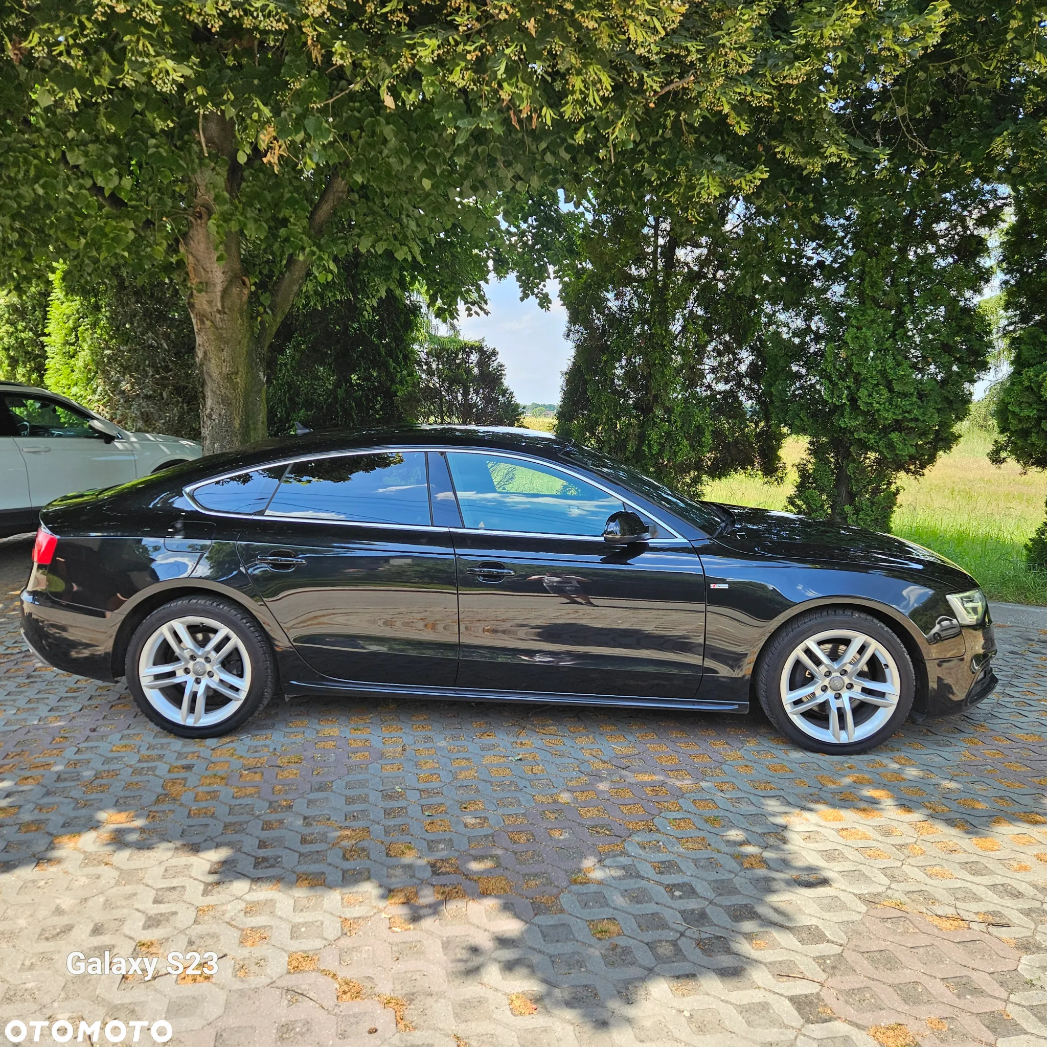 Audi A5 3.0 TDI clean diesel Quattro S tronic - 7