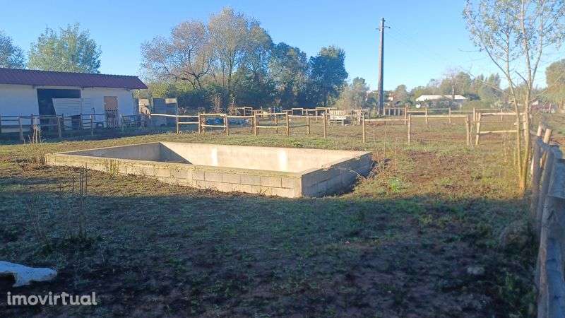5.000 m2 a 300m do açude em Coimbra com infraestruturas para cavalos - Grande imagem: 2/8