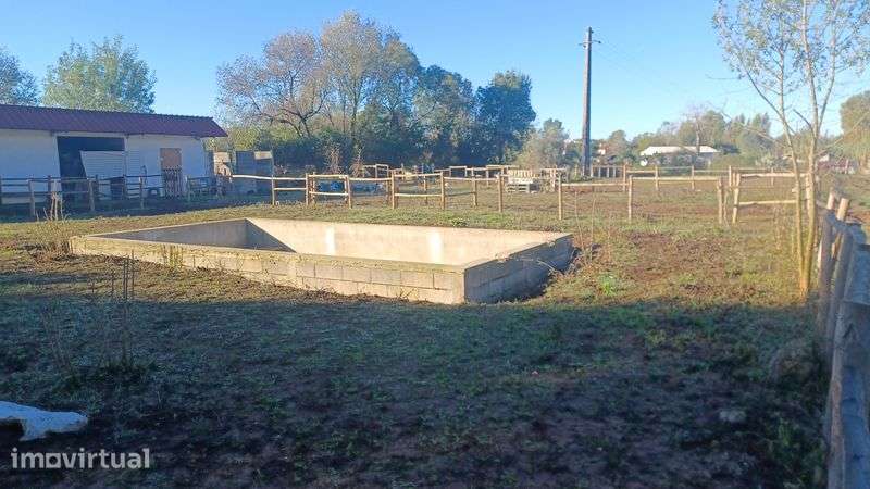 5.000 m2 a 300m do açude em Coimbra com infraestruturas para cavalos - Grande imagem: 2/8