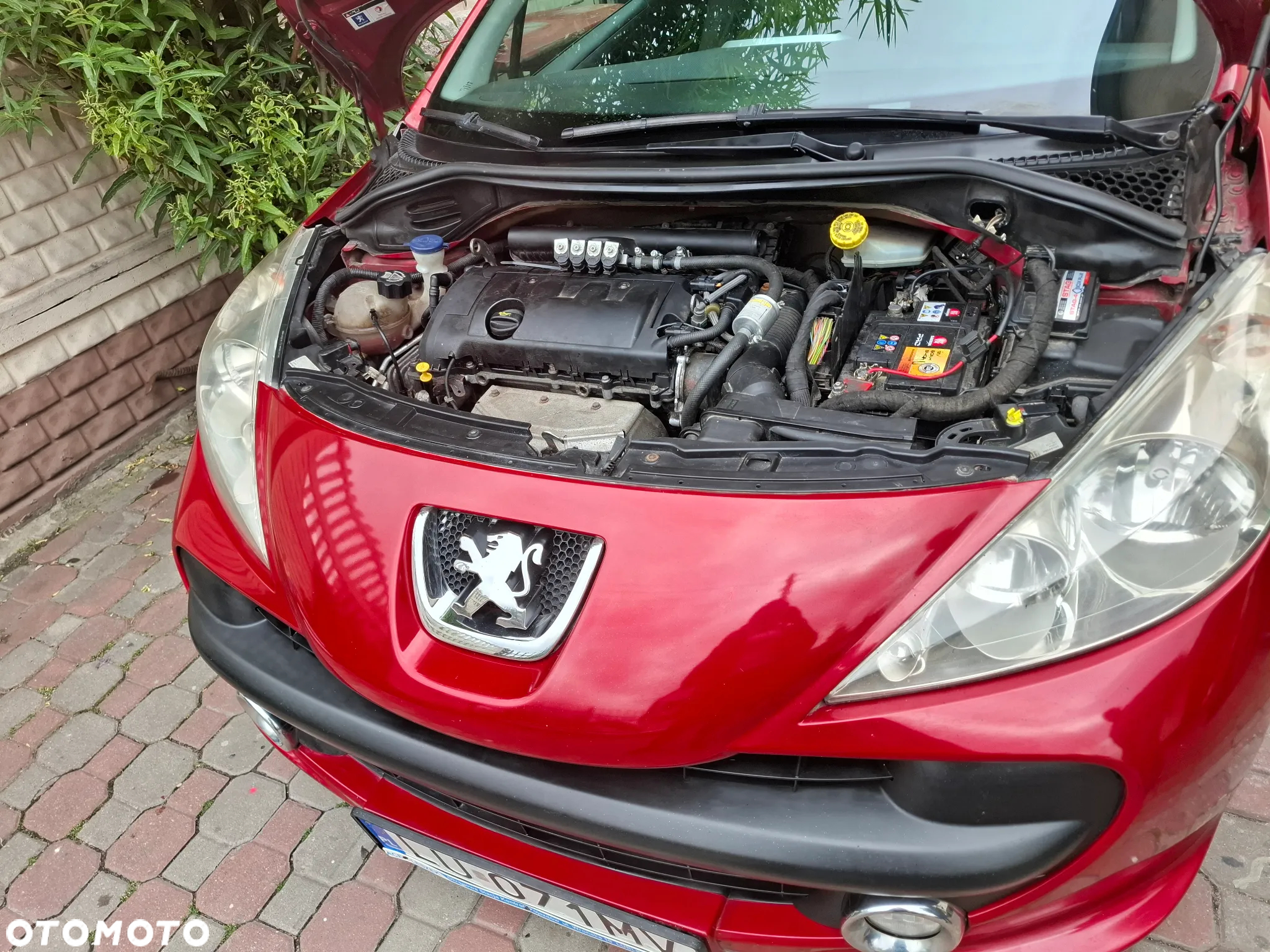 Peugeot 207 - 12