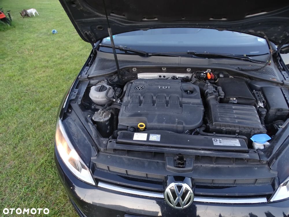 Volkswagen Golf 1.6 TDI (BlueMotion Technology) Comfortline - 8