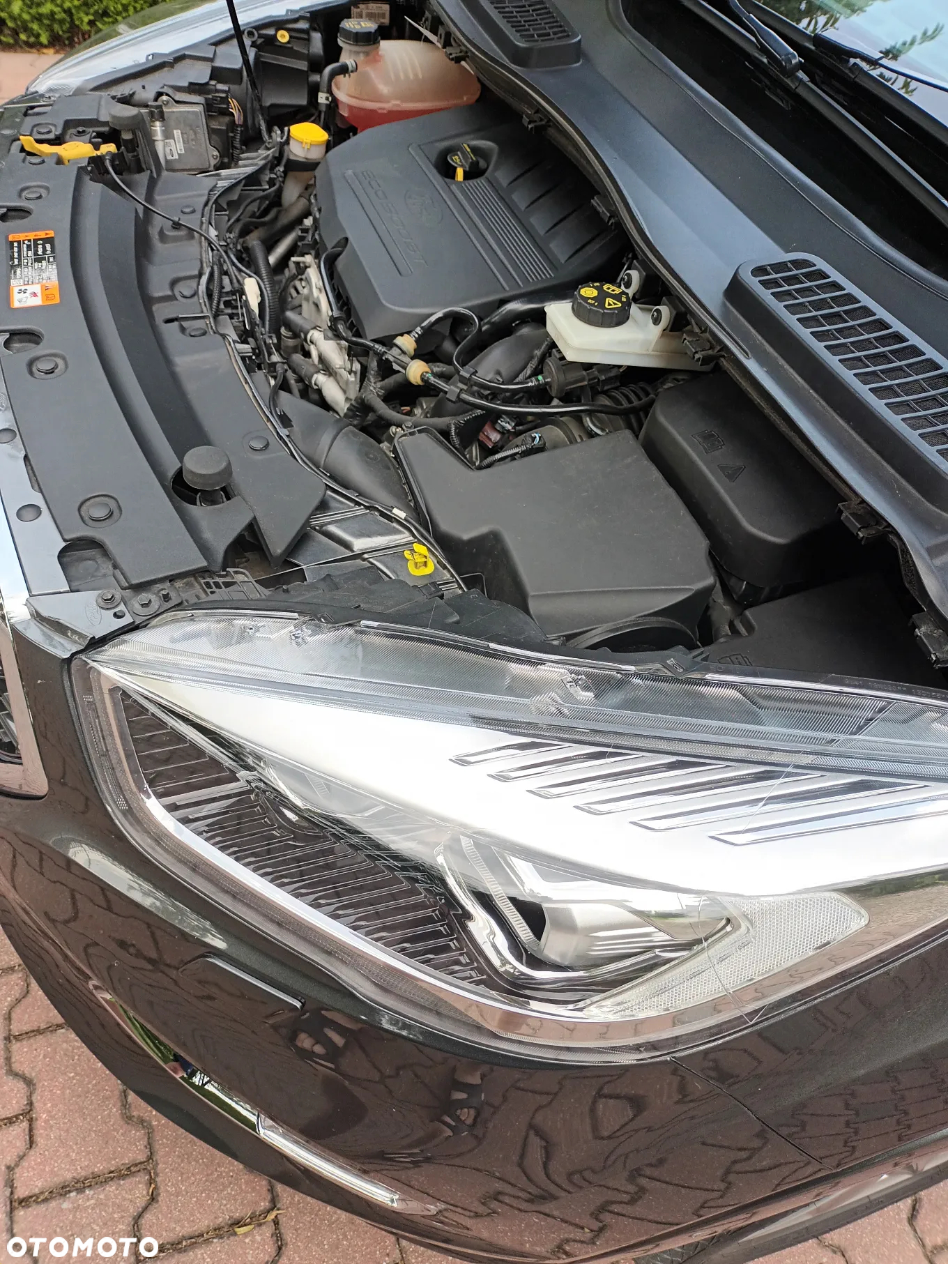 Ford Kuga Vignale 1.5 EcoBoost FWD ASS - 20