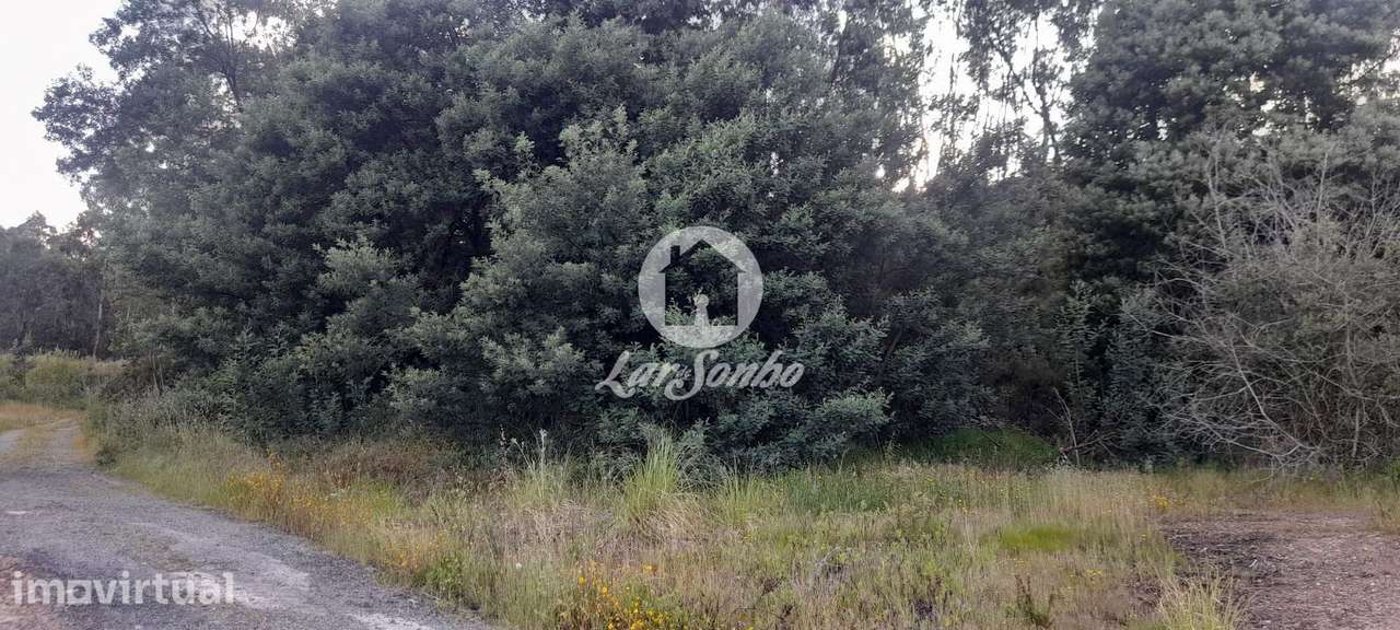 Terreno com 8.600 m² na Trofa | Excelente Oportunidade de Investimento - Grande imagem: 3/13