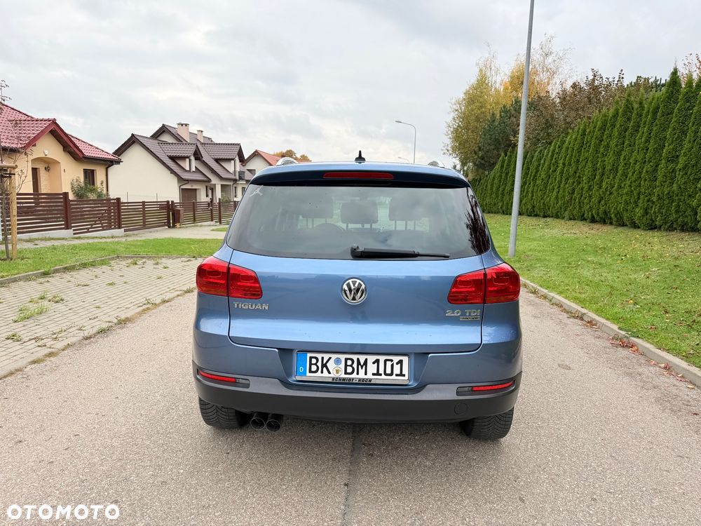 Volkswagen Tiguan - 19