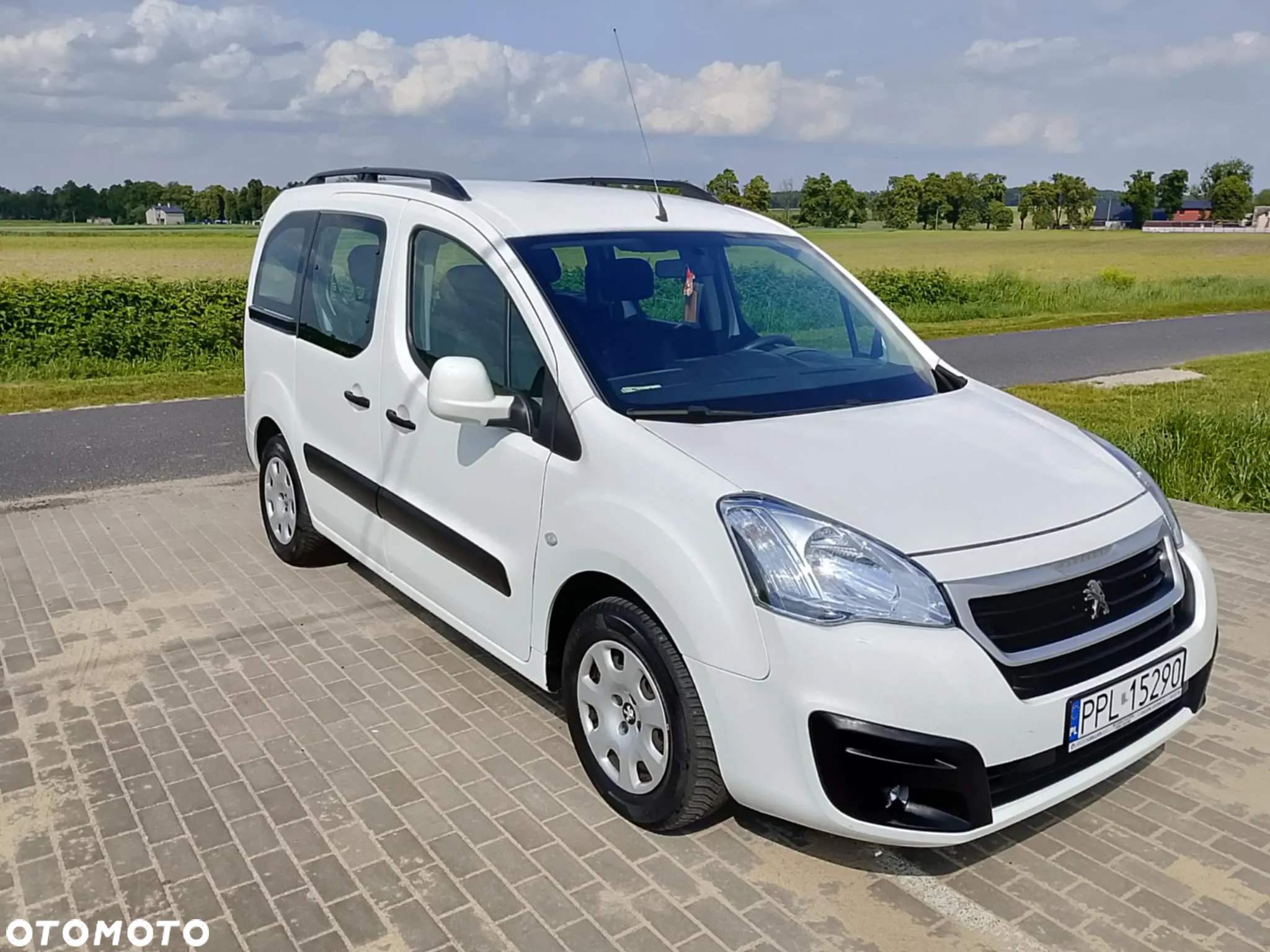 Peugeot Partner 1.6 BlueHDi Active 7os - 15