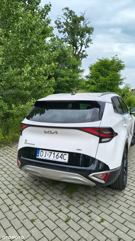 Kia Sportage 1.6 T-GDI HEV Business Line 4WD - 2