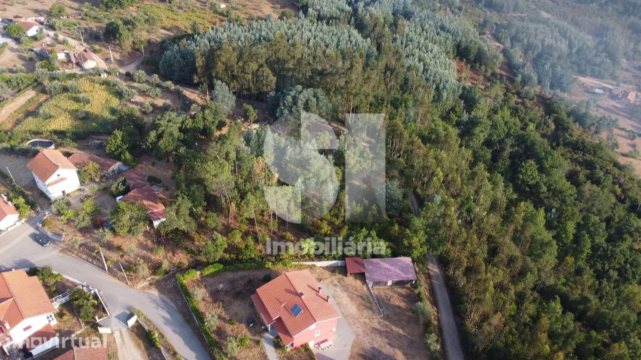 3 TERRENOS RUSTICOS COM 6500 M2 - Grande imagem: 2/12