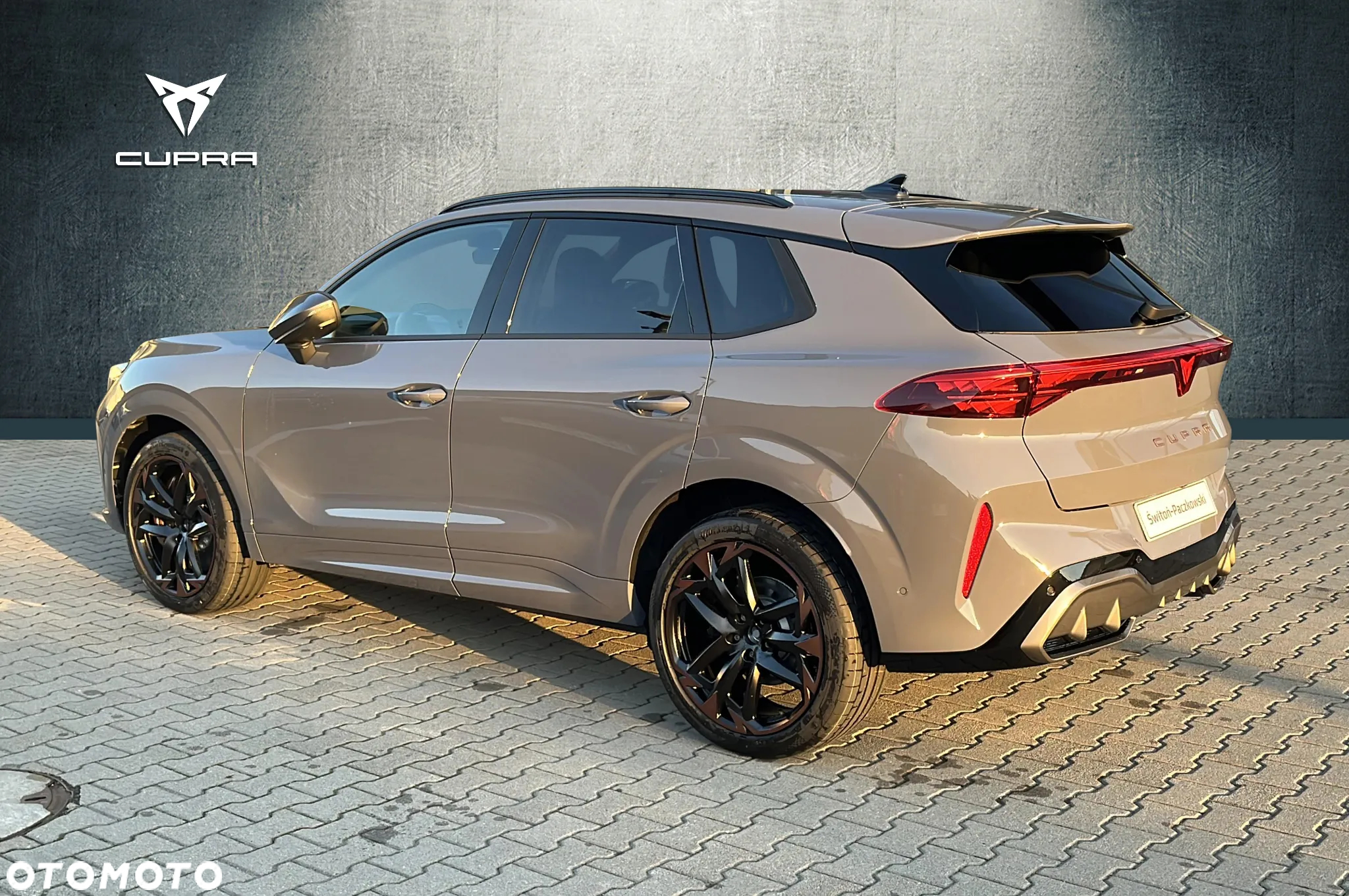 Cupra Terramar 2.0 TSI 4Drive DSG - 4