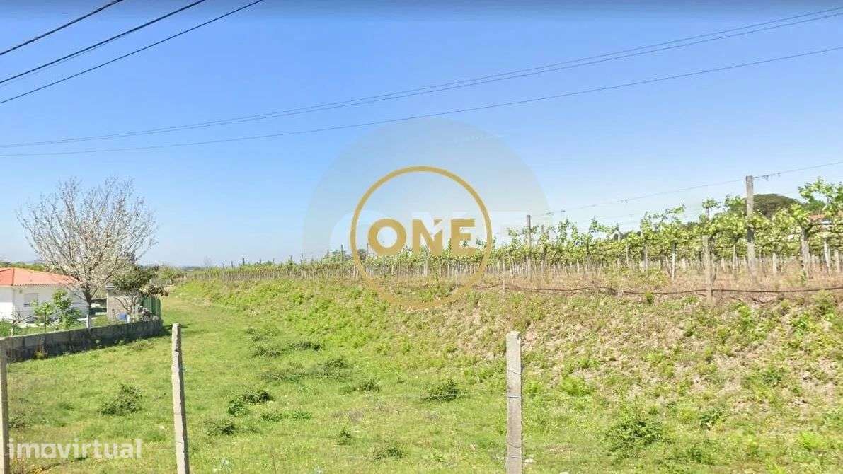 Terreno na freguesia de São Miguel do Couto Santo Tirso e acesso á A3. - Grande imagem: 5/25