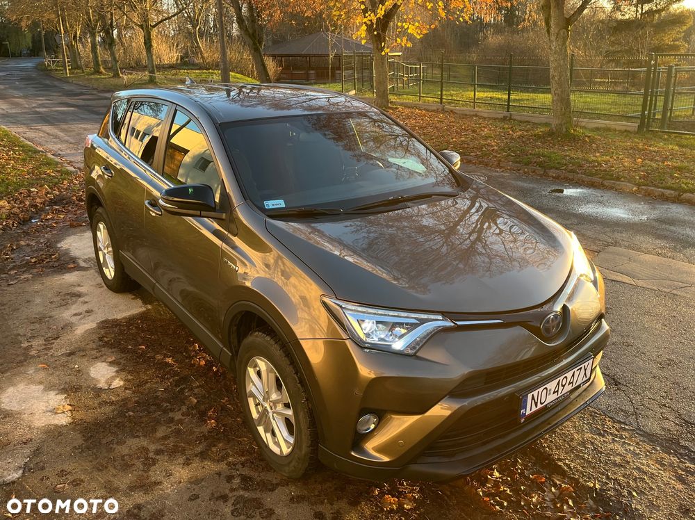 Toyota RAV4 - 19