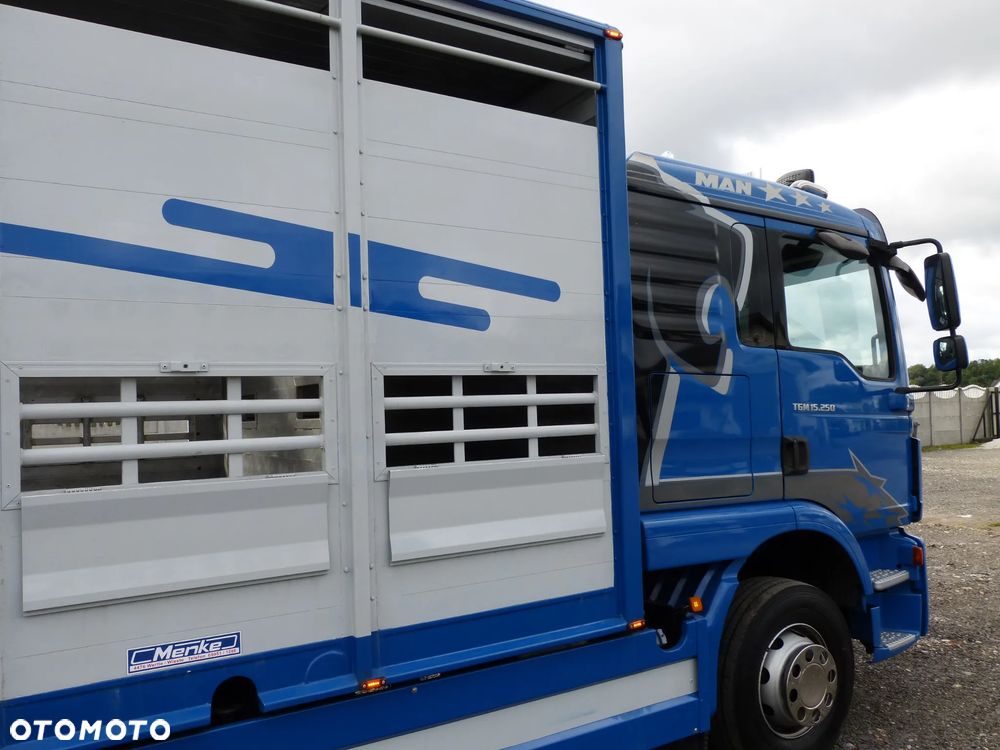 MAN TGM 15.250 DO ŻYWCA / ZWIERZĄT / BYDŁA / WAGA EL/. EURO 6 / DŁ. 5.20M /XENON - 16