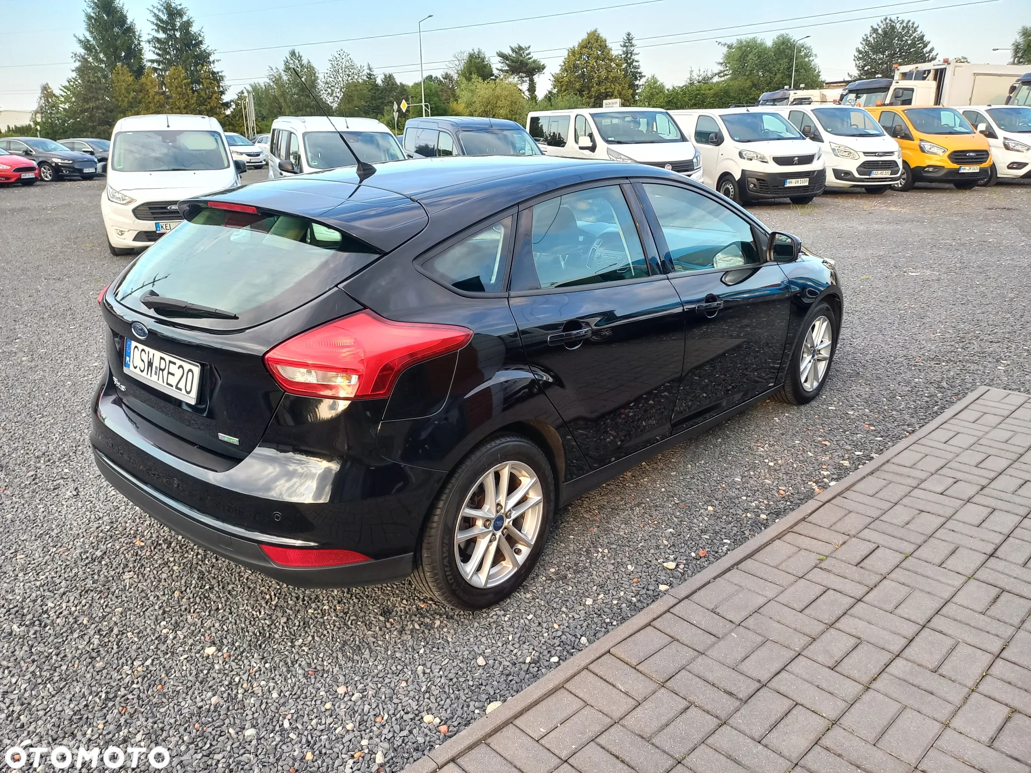 Ford Focus - 6