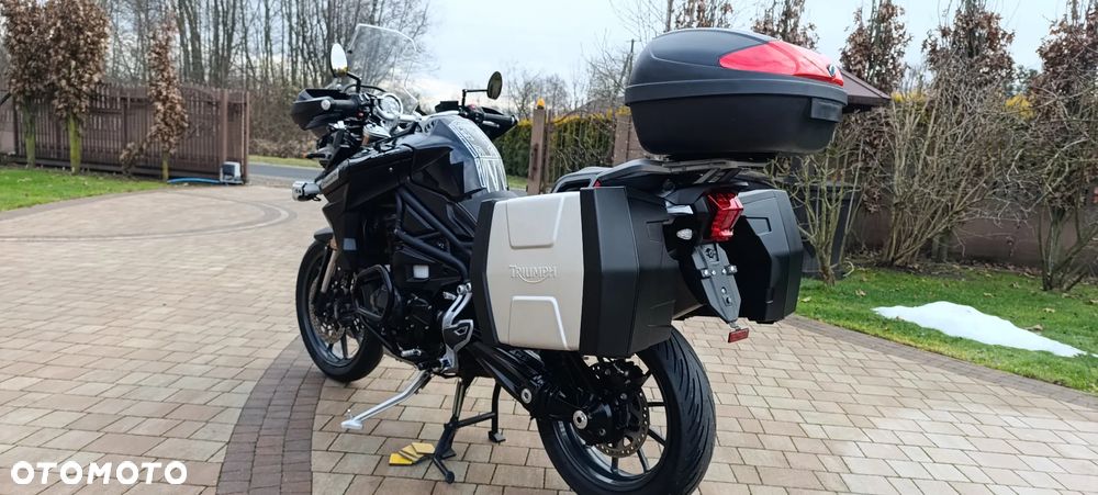 Triumph Tiger - 4