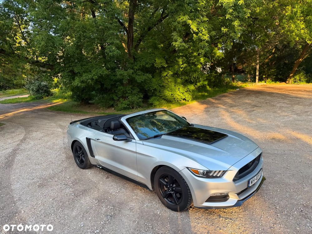Ford Mustang 3.7 V6 - 31