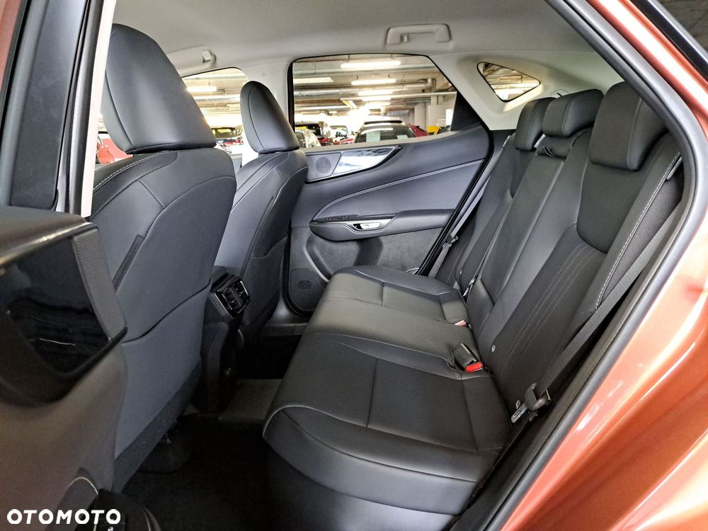 Lexus NX - 13