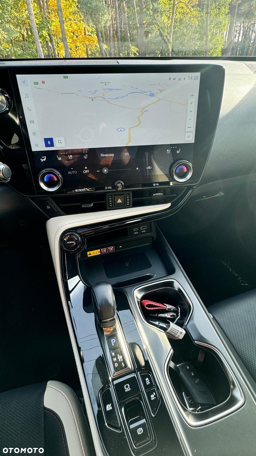 Lexus NX - 22