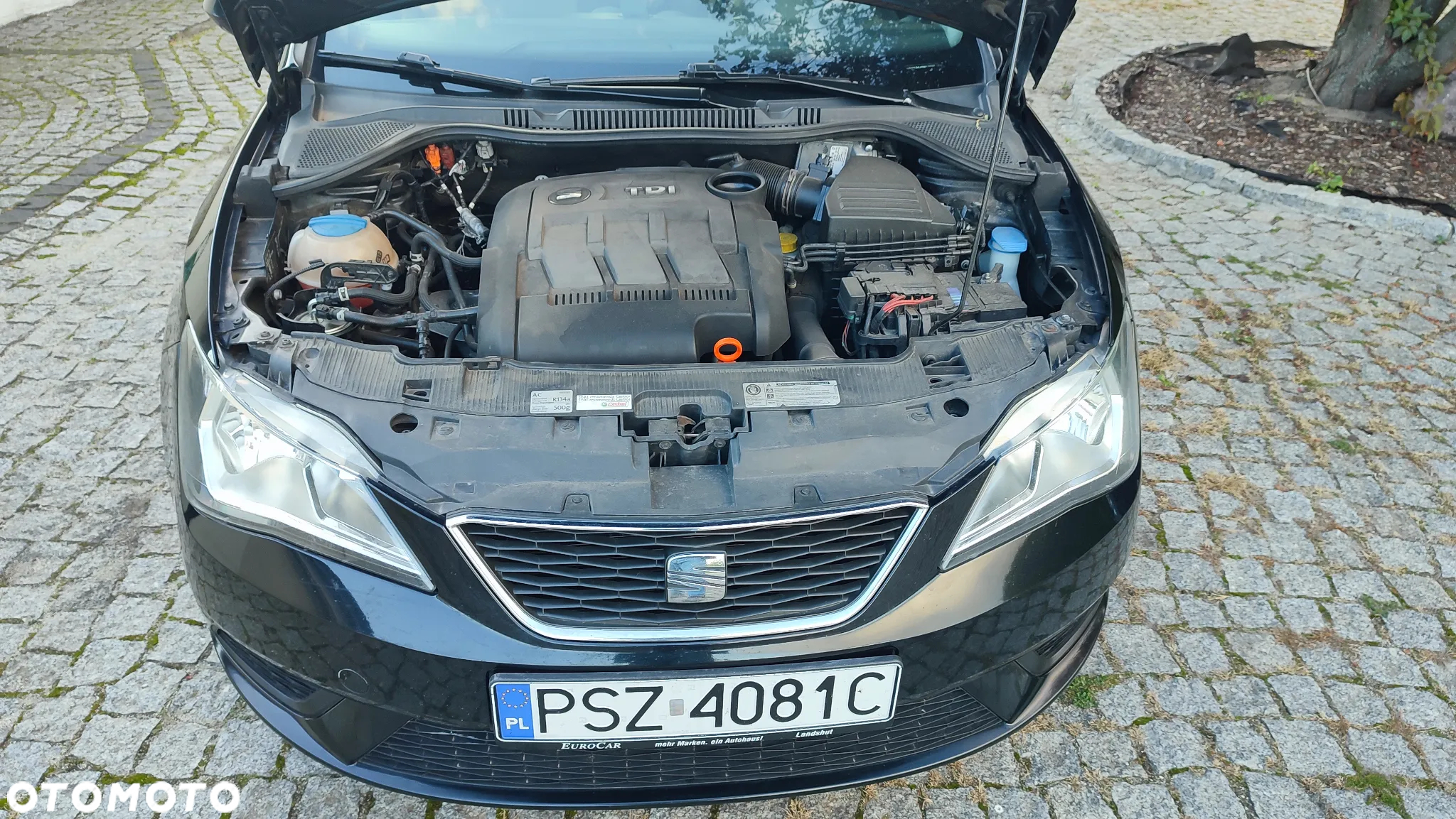 Seat Ibiza 1.2 TDI CR Ecomotive Style Viva - 15