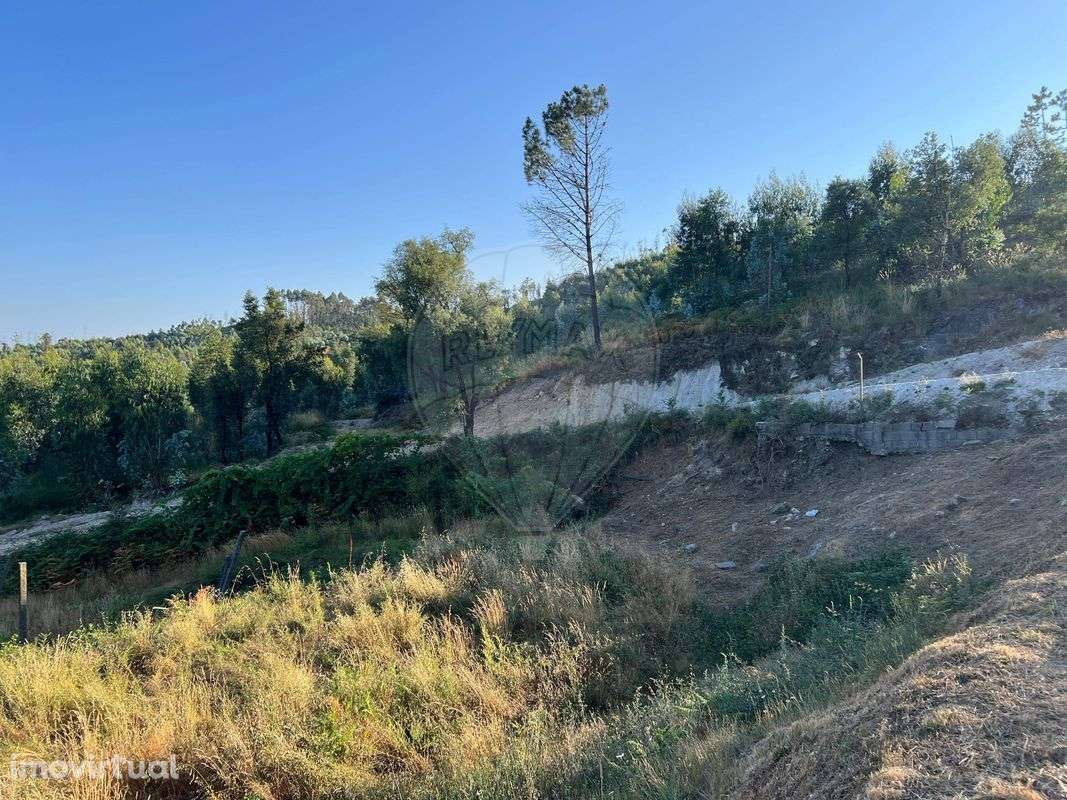 Terreno  para venda - Grande imagem: 5/6