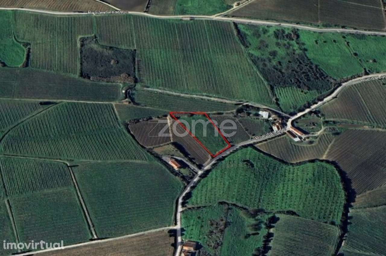 Terreno rústico em Aldeia Gavinha, Alenquer - Grande imagem: 4/11