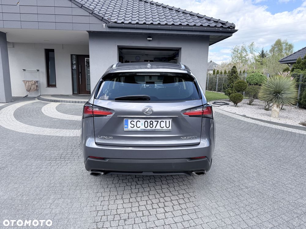 Lexus NX - 8