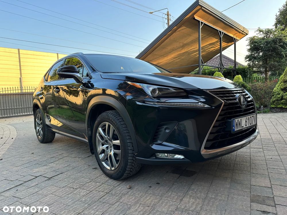Lexus NX 300 Comfort AWD - 2