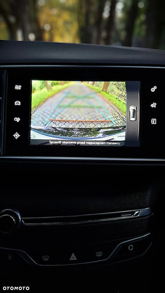 Peugeot 308 - 17