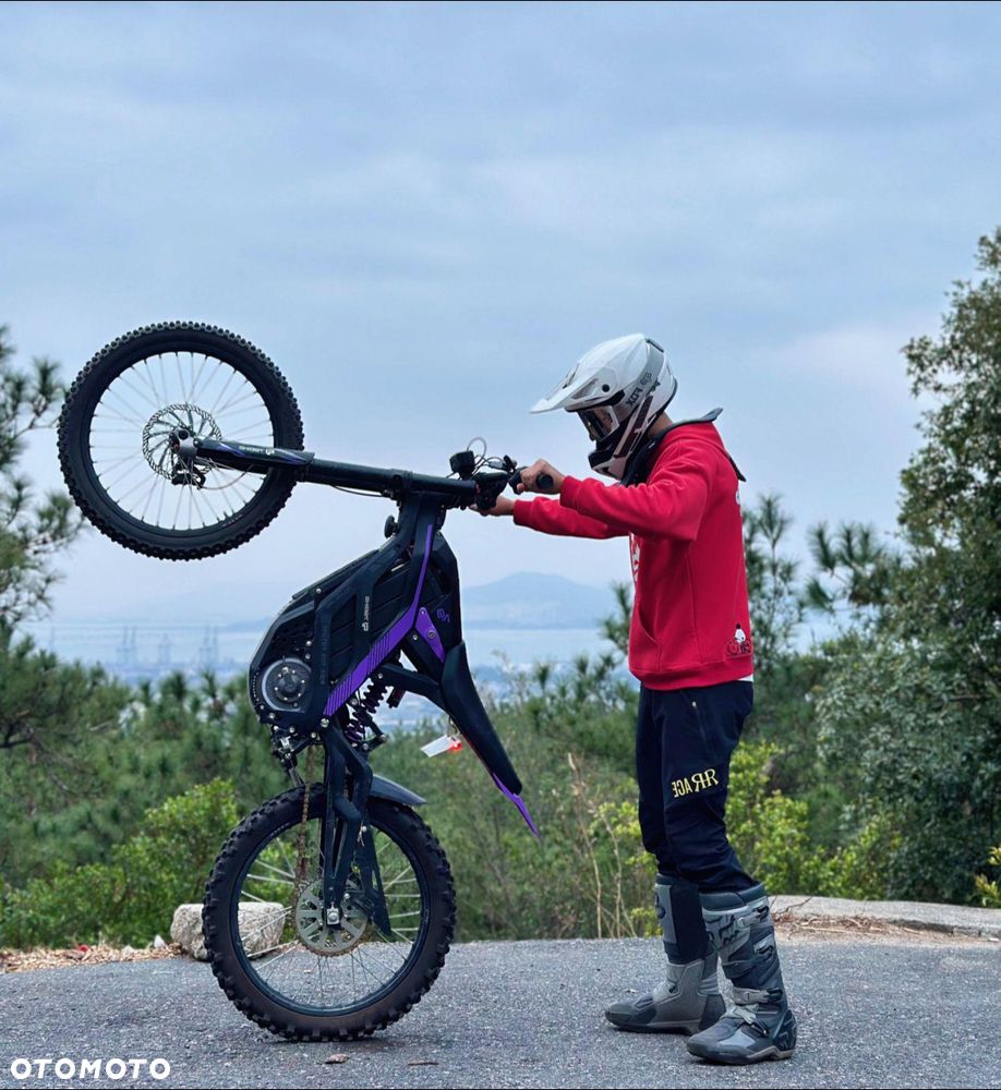 79Bike Falcon Pro - 33