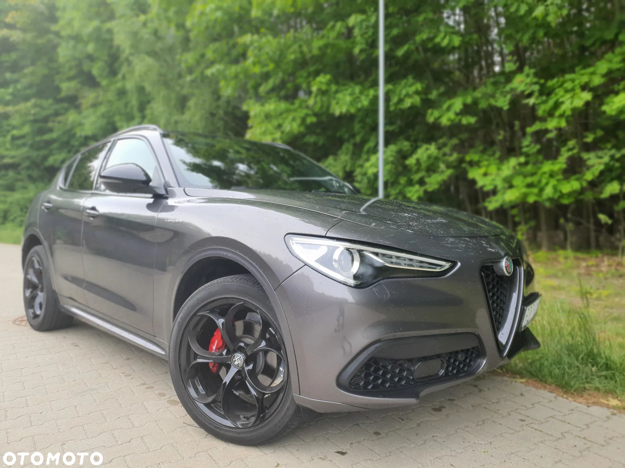 Alfa Romeo Stelvio 2.0 Turbo 16V AT8-Q4 Veloce - 1