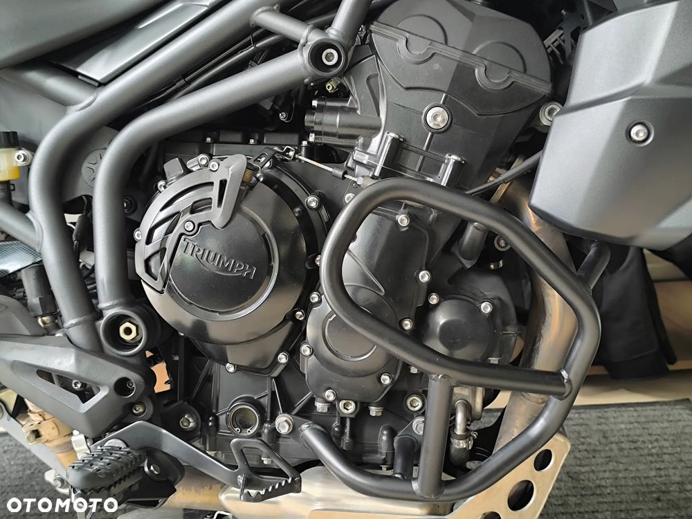 Triumph Tiger - 6