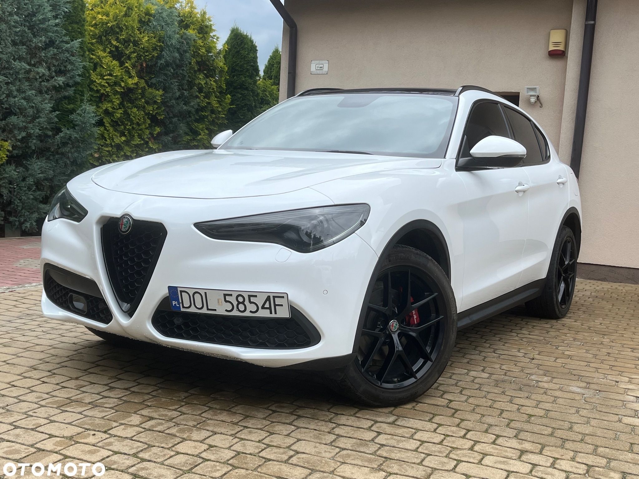 Alfa Romeo Stelvio 2.0 Turbo 16V AT8-Q4 Veloce Ti - 1