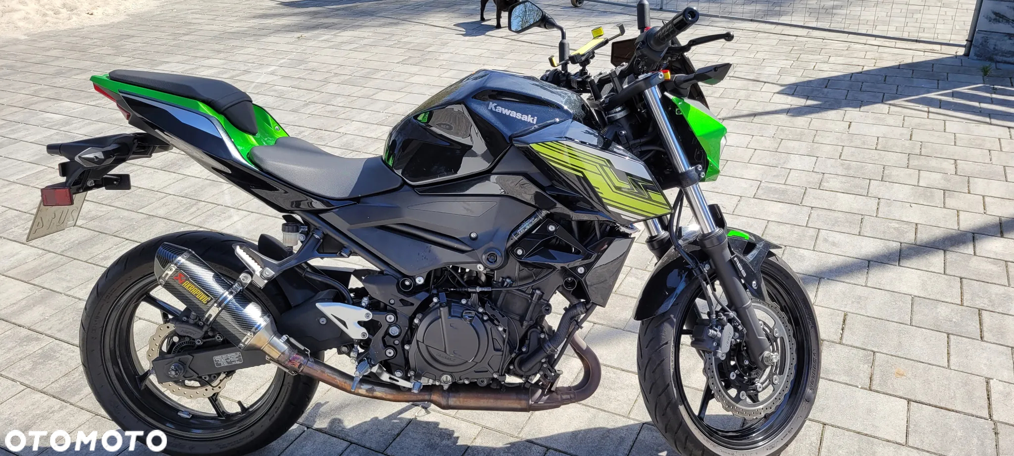 Kawasaki Z - 6