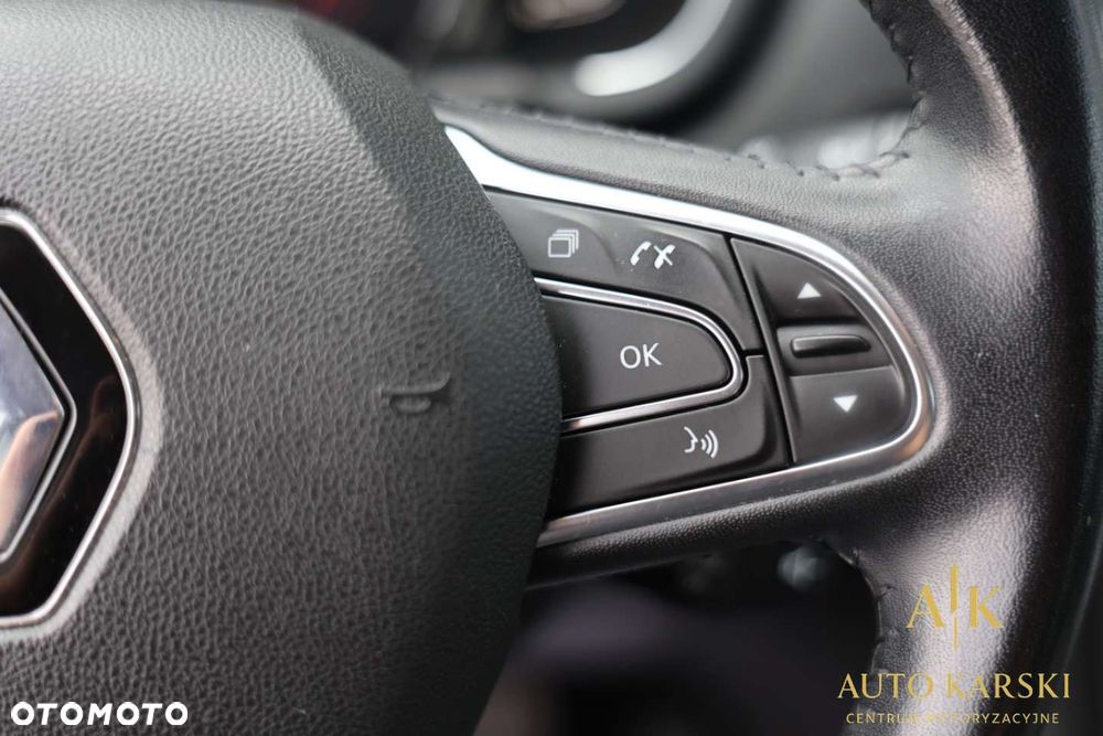 Renault Scenic - 23