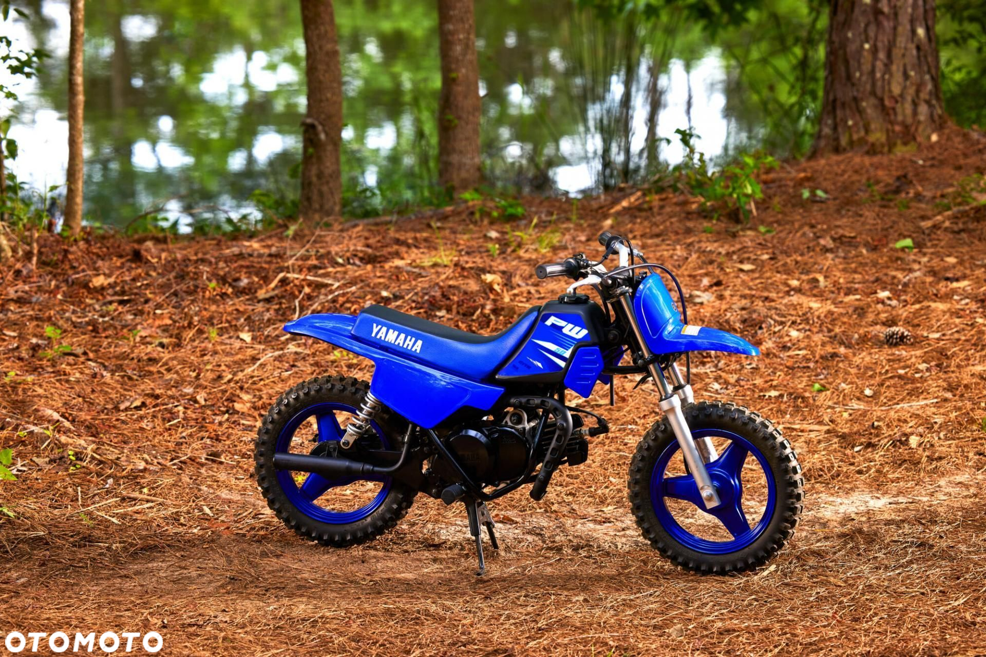 Yamaha PW