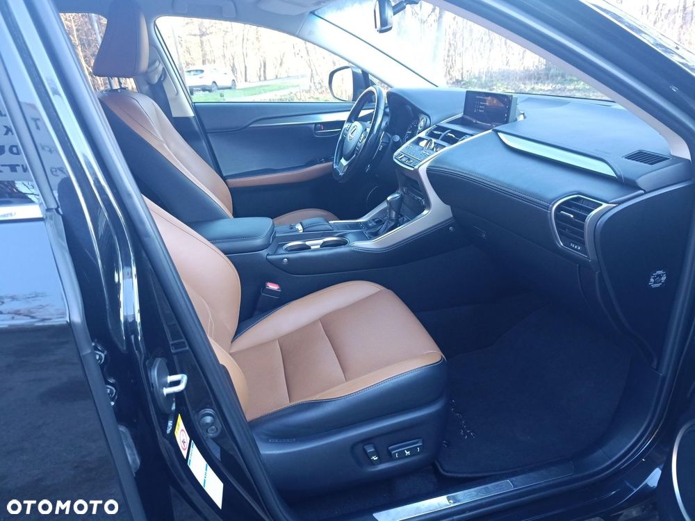 Lexus NX 300 Comfort AWD - 12